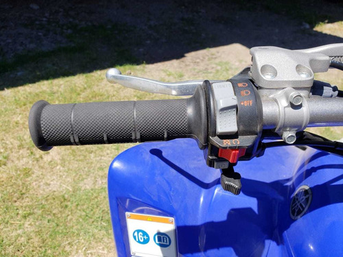 Yamaha Raptor 350