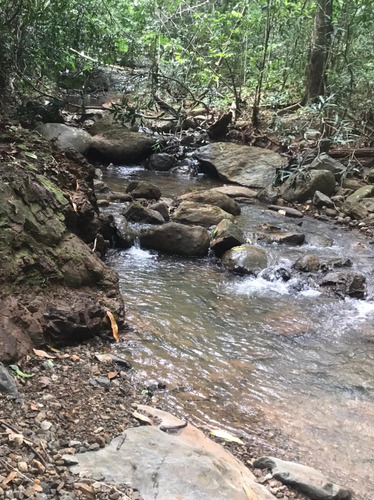 Finca En Bayaguana Monte Plata 