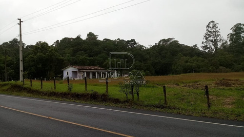 Imagem 6 de 8 de Sitio - Vila Maria - Ref: 33009 - V-33006