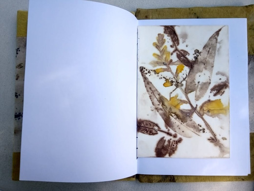 Imagen 3 de 5 de Cuaderno Artístico, Con Impresión Vegetal. Arce