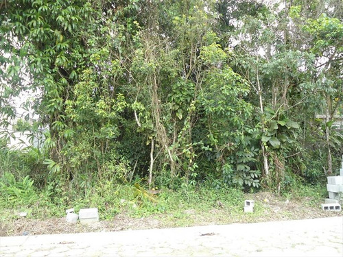 Imagem 5 de 6 de Terreno - Venda - Verde Mar - Itanhaem - Ita2613