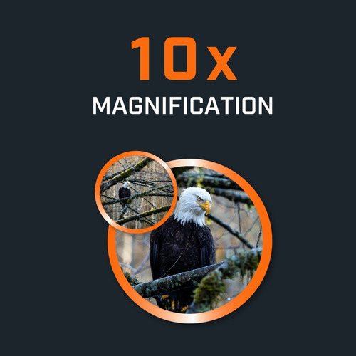 Imagen 5 de 9 de Binoculares Bushnell Powerview 10 X 42 Roof Prism Compactos!