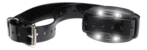 Control Remoto Adiestrador Perro Todos Los Tamaños Dogwatch