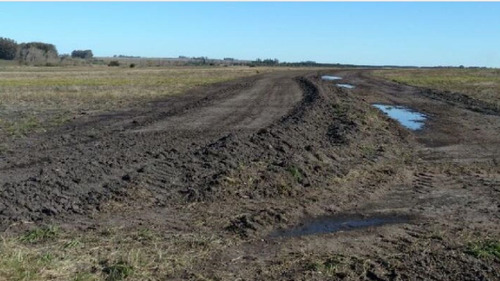 Imagen 2 de 12 de Terreno Campo En Venta Ubicado En Río Negro, Río Negro
