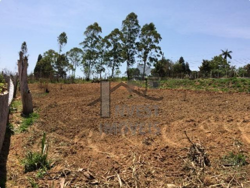 Imagem 1 de 4 de Cód 2614 - Lindo Terreno De 2400 M² Todo Cercado - 2614