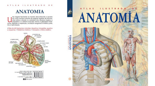 Atlas Ilustrado De Anatomia, De Adriana Rigutti., Vol. 1. Editorial Girassol, Capa Dura, Edição 2 Em Espanhol, 2024