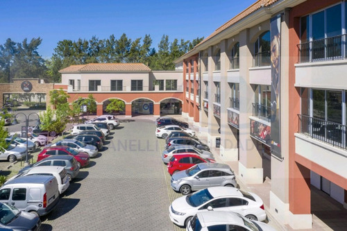 Imagen 7 de 12 de Oportunidad! Excelente Local En Pueblo Caamaño