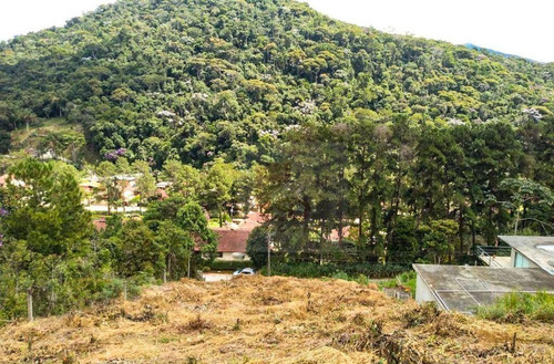 Imagem 4 de 5 de Terreno À Venda, 1040 M² Por R$ 220.000,00 - Albuquerque - Teresópolis/rj - Te0433