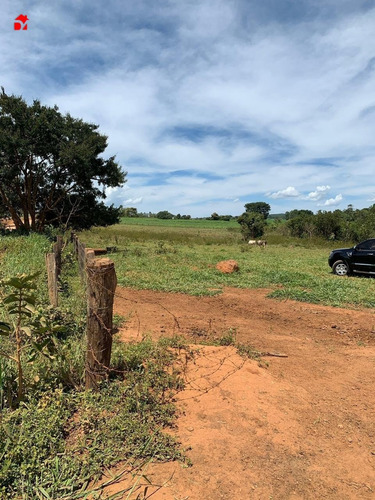 Imagem 5 de 9 de Chacara - Zona Rural - Ref: 1419 - V-1419