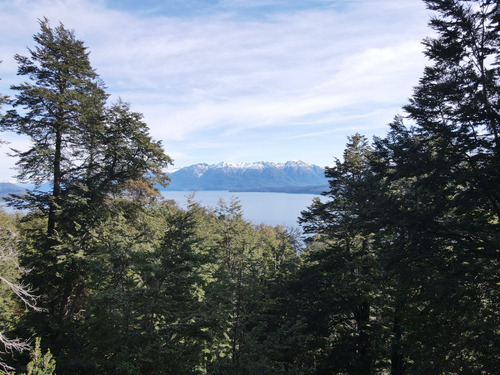 Excelente Lote Con Vista Parcial Al Lago Nahuel Huapi, Loteo Parque Arauco, Villa La Angostura