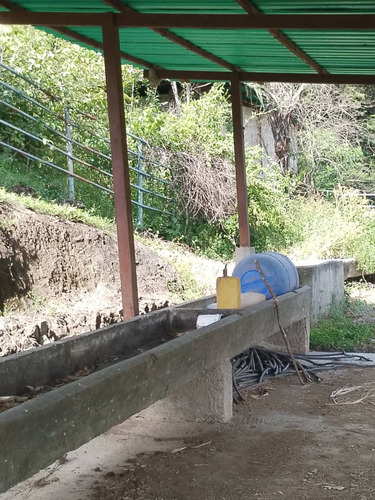 Angelica Acosta Vende Espectacular Finca Agroturística En Villa Virginia En La Carretera Villa De Cura-san Juan De Los Morros