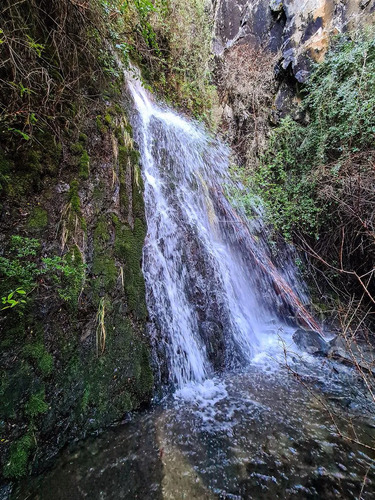 Sitio En Venta En Cerro Castillo / Carretera Austral