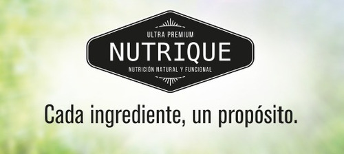 Imagen 3 de 9 de Alimento Nutrique Medium Puppy para perro cachorro de raza mediana sabor pavo en bolsa de 12 kg