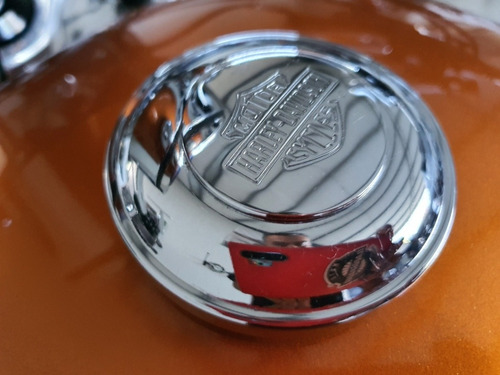 Imagen 15 de 15 de Harley Davidson Sportster Xl1200