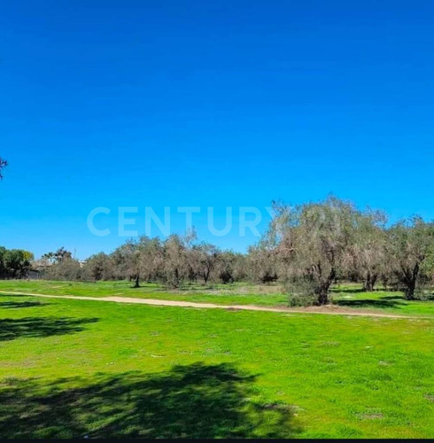 Los Olivos - Preventa De Terrenos Con Vista Al Mar En Ensenada