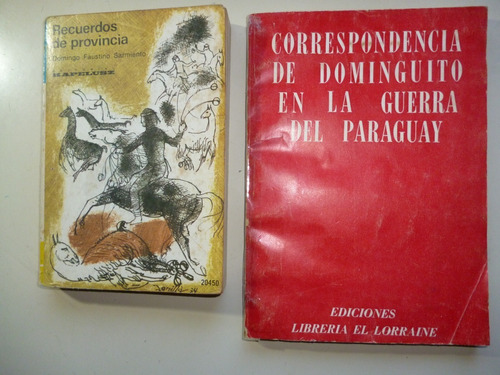 Recuerdos De Pcia. Y Correspondencia De Dominguito+ Obsequio