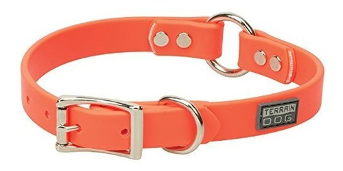 Terrain  Brahma Webb Hunting Dog Collar Blaze Orange, Yaq35
