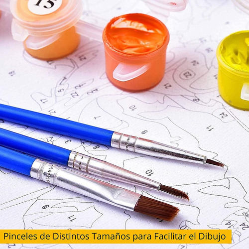 Tucanes Kit Pintura Por Números 30x40 Lienzo Con Bastidor