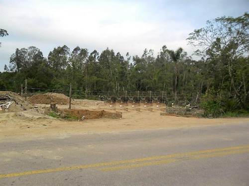 Imagem 1 de 7 de Terreno - Te00042 - 32976967