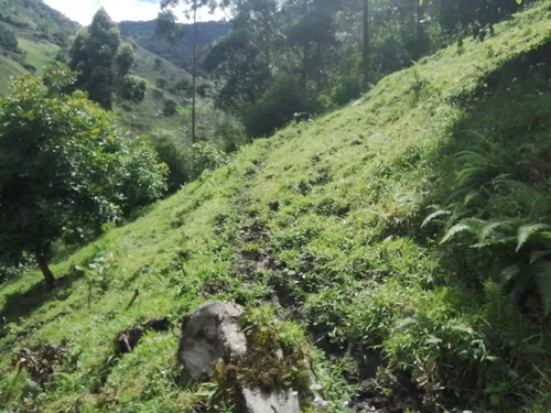 Finca Via Juntas - Ibagué