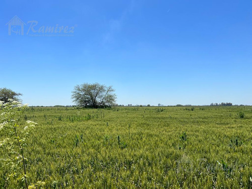 Campo 20 Hectareas En Venta Sobre Ruta 6 - Marcos Paz