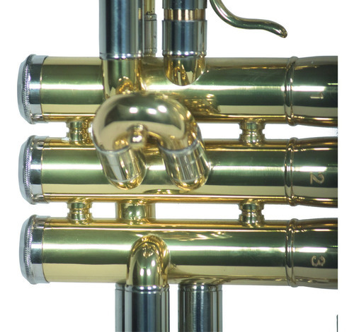 Trompeta Bb/c Laqueado Dorado Con Estuche Wesner Ptr1000c-g