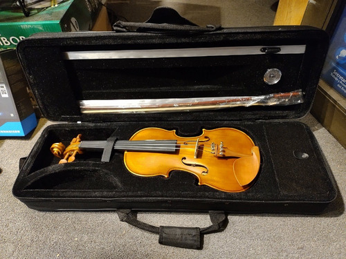 Imagen 1 de 10 de Violín 4/4 Palatino Sv1414a Semi Profesional Estuche Arco