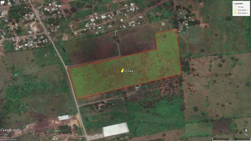 Venta Terreno 10 Hectáreas Carretera Tuxpan - Tamiahua Veracruz