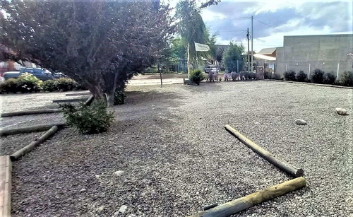Imagen 6 de 21 de Re/max Vende Departamentos En Junin De Los Andes!!