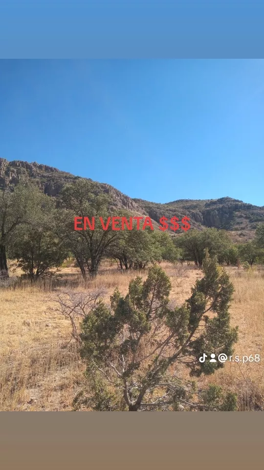 Terreno Campestre En Venta