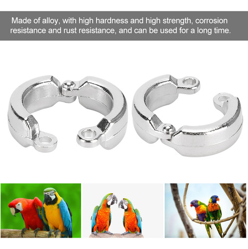 Anillos Para Piernas De Loros Y Pájaros, 10 Unidades, Para A