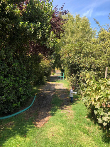 Arriendo/venta Parcela 2.1 Ha(3 Roles) Paine 2 Casas Piscina