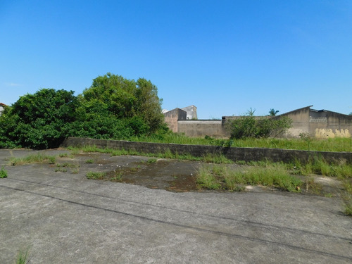 Imagem 2 de 6 de Lote Na Av. Padre Anchieta C/ 368.50m² Residencial E Coml.