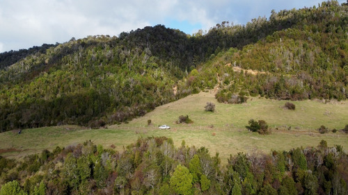 Imagen 6 de 22 de Campo De 42ha Estaquilla - Los Muermos