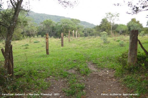 Imagem 9 de 11 de Sítio / Chácara Para Venda Em Mariana Pimentel, Estrada Do Pelami - Mariana Pimentel - Rs, 2 Dormitórios, 1 Banheiro, 1 Vaga - 1243_1-544516