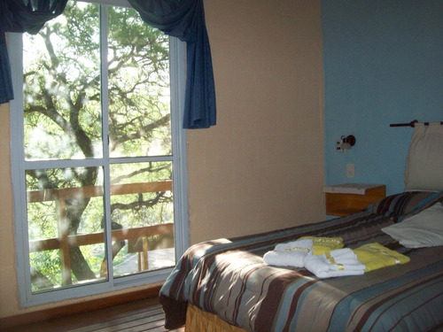 Vendo Complejo De 4 Cabañas A Reciclar Y Equipar