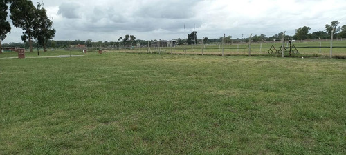 Imagen 9 de 12 de Venta-terreno -pilar- Santo Tomas-interno