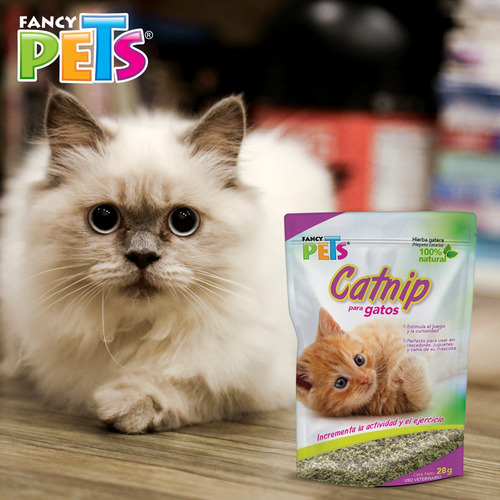 Catnip Atrayente Gato 28gr Hierba Gatera P/juguete, Rascador