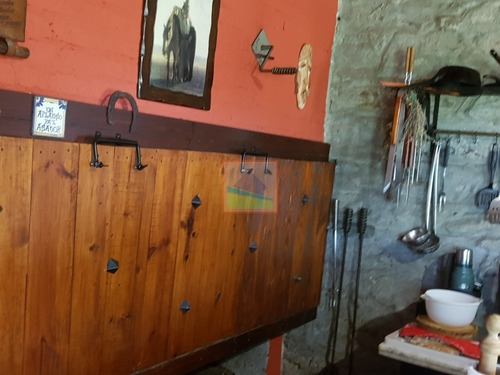 Imagen 11 de 14 de Campo En Carapé Maldonado, 267 Hás Con Casa