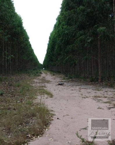Imagem 4 de 4 de Fazenda À Venda, 250000000 M² Por R$ 1.500.000.000 - Centro - Ribas Do Rio Pardo/ms - Fa0032