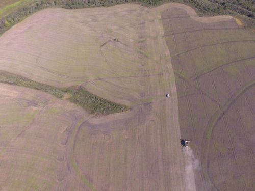 Imagen 6 de 7 de 500 Hectáreas Agrícolas En San Salvador, Entre Ríos A 1000 Metros Del Ripio.