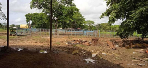 Imagen 28 de 28 de Finca En Venta Guarico