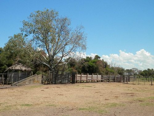Estancia Isla Vizcaino 1569ha Ganadero Agricola Rio Negro Y Rio Uruguay