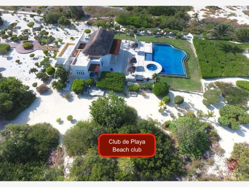 Imagen 8 de 12 de Terreno En Venta Carretera Punta Sam