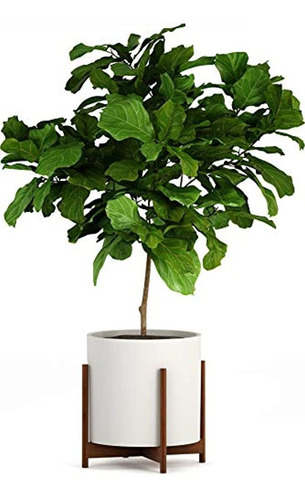 Fox & Fern Mid-century - Soporte Para Plantas, Blanco