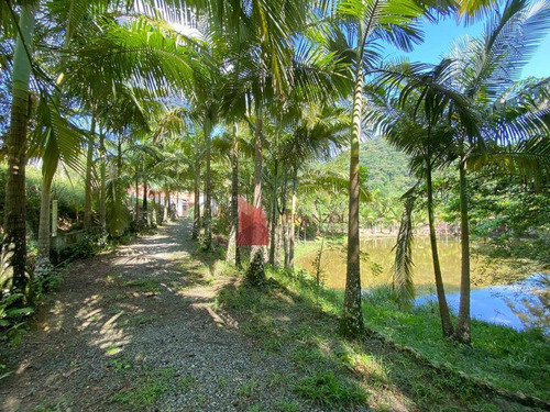 Imagem 4 de 18 de Venda: Chácara Com 2 Suítes E 2 Dormitórios, 12.000 M² - Brilhante Ii - Itajaí/sc - Ch0003