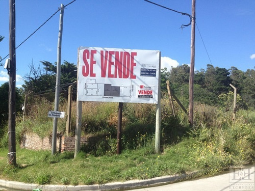 Imagen 5 de 6 de Lotes En Venta Viamonte Y Payró. Zona Calvario
