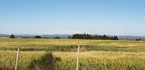 Excelente Fracción De Campo