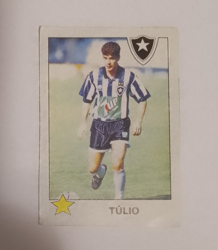 Figurinha Botafogo Túlio Campeon. Brasileiro 95 F005