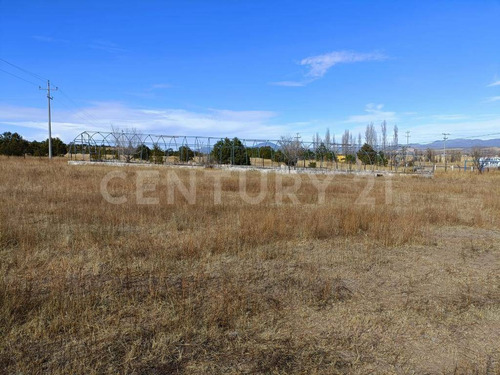Imagen 13 de 24 de Rancho En Venta Cd. Guerrero, Chihuahua.